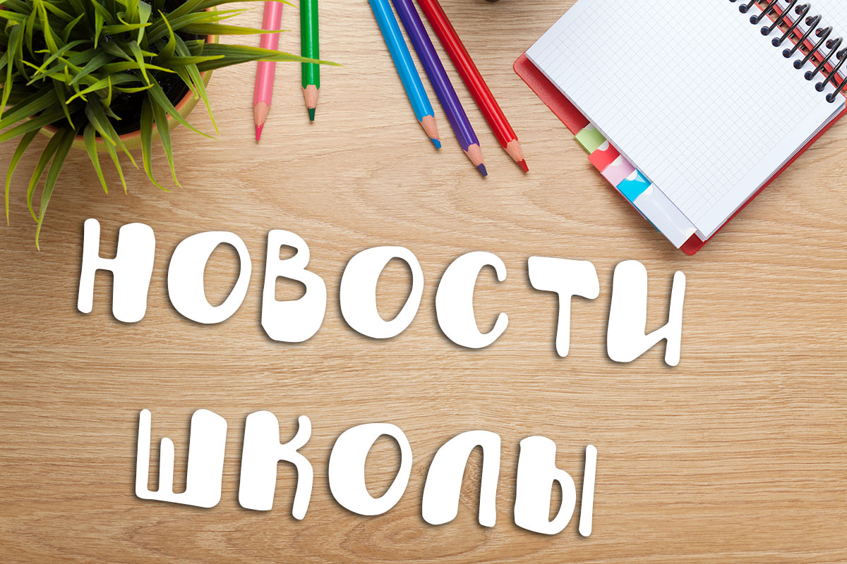 Вы сейчас просматриваете Новый учебный год 2016/2017